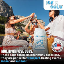 Load image into Gallery viewer, 20lb Drawstring Ice Bags
