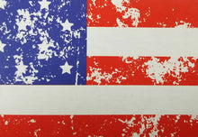 Load image into Gallery viewer, C-Store Packaging - American Flag Cardboard  Carrier

