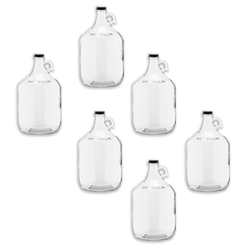 C-Store - 1 Gall Clear Glass Growler, glass jug